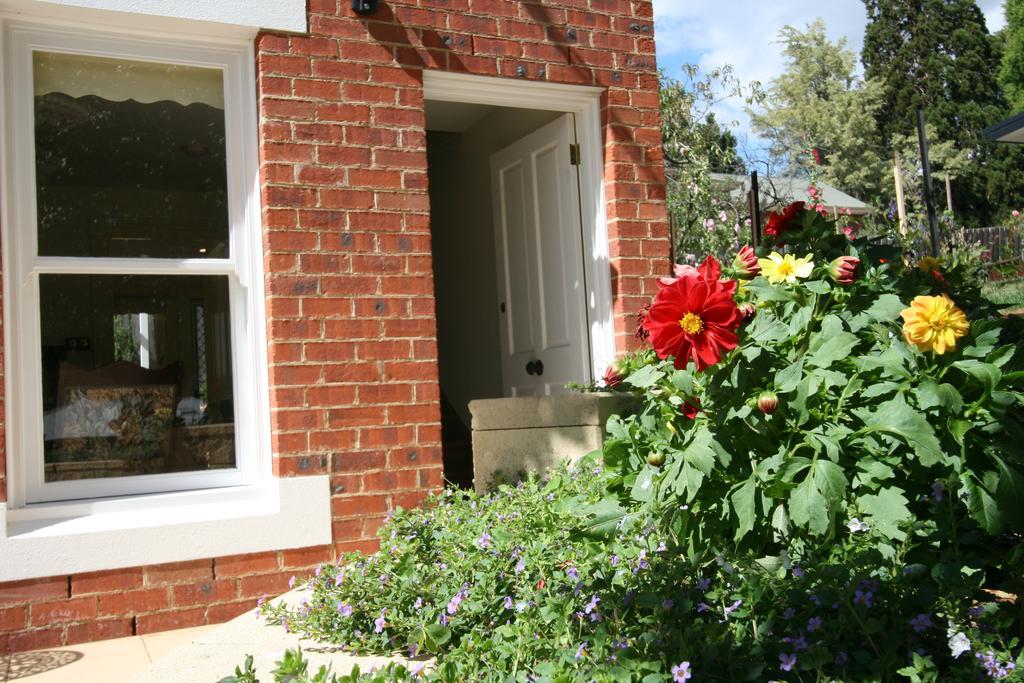 Annies Garden Cottage Hobart Exteriör bild